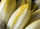 Endives