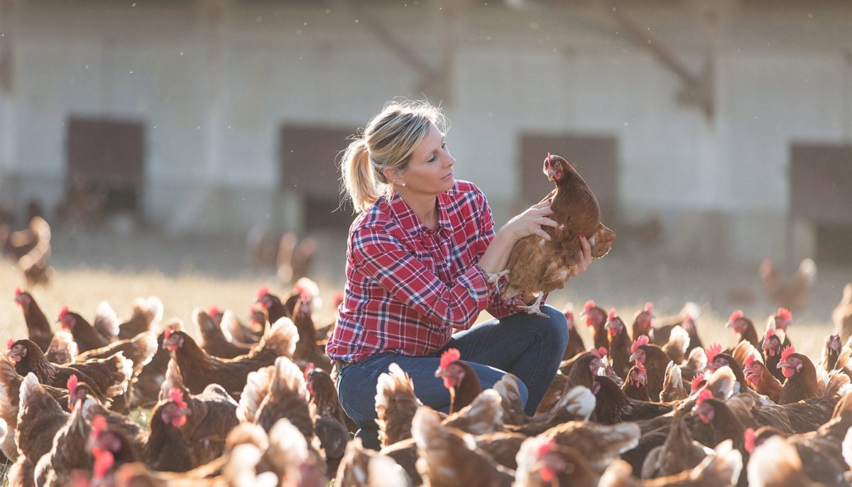 Agir en faveur du bien-être animal pour satisfaire ses convives