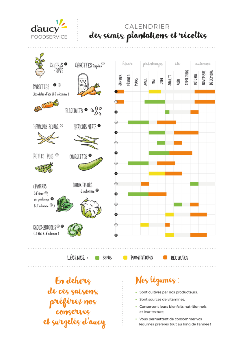 Calendrier des récoltes de légumes d’aucy