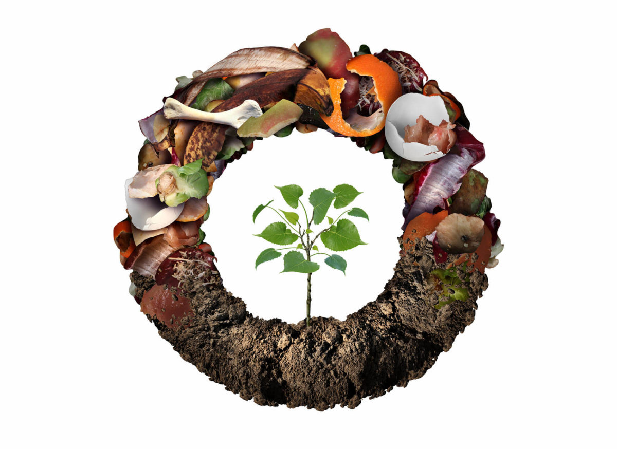 Gaspillage alimentaire, le grand défi de la restauration collective