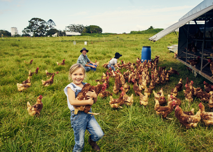 article-bea-welfarm1 article-bea-welfarm1